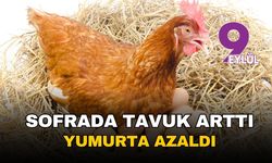 Sofrada tavuk arttı, yumurta azaldı: Üretimdeki zıtlık cepleri nasıl etkileyecek?
