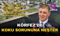 İzmir Körfezi'nde koku sorununa neşter: Vakumlu çözüm