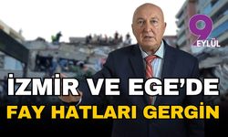 Prof. Dr. Ahmet Ercan’dan korkutan deprem uyarısı: İzmir ve Ege’de o fay hatları gergin!