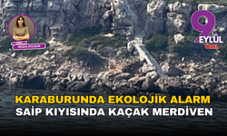 Karaburun’da ekoloji alarmı: Saip kıyısında kaçak merdiven