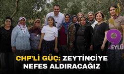 CHP’li Güç: “İktidarımızda zeytincilik hak ettiği değeri görecek”