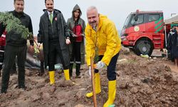 Menemen’de fidanlar yeşil vatan için toprakla buluştu