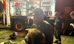 Mazgala düşen köpek ve yangında mahsur kalan kediler kurtarıldı