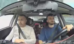 Böcek ailesinin en zor anları