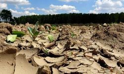 COP30'da 'ekokırım suç kabul edilsin' çağrısı