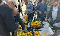 Alıcısı çıkmayan tonlarca mandalina ücretsiz dağıtıldı