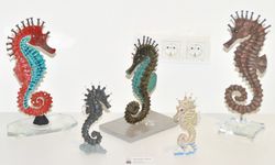 Galeride denizaltı dünyası