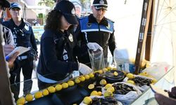 Kuşadası'nda sokak lezzetleri satılan yerler denetlendi