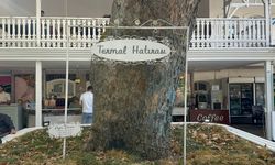 Atatürk’ün mirası 96 yıllık arboretum, ziyaretçilerini büyülüyor