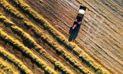 Kuraklık çiftçiyi de, sofrayı da vurdu