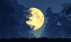 Yılın en parlak ve en büyük Dolunay’ı bu gece!