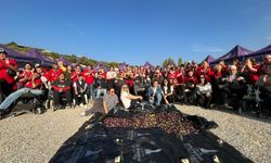 İzmir’de engelli yurttaşlar ve aileleri zeytin hasadında buluştu