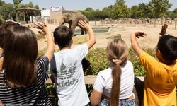 İzmir Doğal Yaşam Parkı’na ara tatilde ziyaretçi yoğunluğu