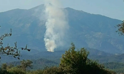 Muğla'da orman yangını: Ekipler alevlere müdahale ediyor