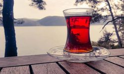 Çayın yanındaki limona 10 TL isteyen işletmeye ceza: Bakanlık 12 aykırılık tespit etti