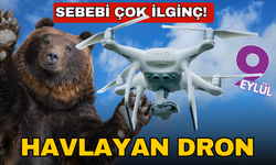 Bu dronlar havlıyor