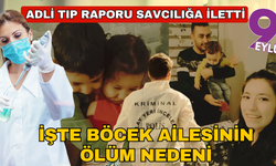 Böcek ailesinin kesin ölüm nedeni belli oldu