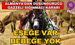 Almanya, Gazze'den gelen 8 eşeğe sığınma hakkı verdi