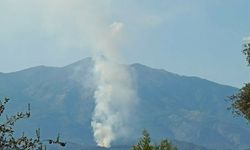 Muğla’daki orman yangını kontrol altına alındı