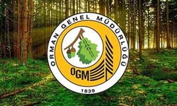 OGM 496 personel alacak! Orman Genel Müdürlüğü personel alımı 2026