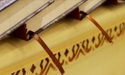 Cambridge Sözlüğü yılın kelimesini seçti!