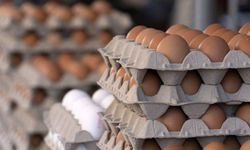 Tavuk eti üretimi yükseldi, yumurta tarafında düşüş dikkat çekti