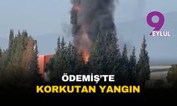İzmir Ödemiş'teki salça fabrikasında korkutan yangın: Alevler 1 saatte güçlükle kontrol altına alındı