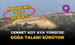 Mahkeme dur dedi, inşaat sürüyor: Cennet Koy Aya Yorgi'de doğa talanı