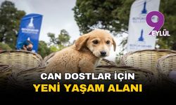 İzmir'de can dostlar için yeni yaşam alanı