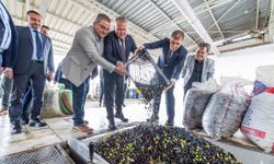 Urla, Zeytinin Bereketi ve Sanatın Işığıyla 3 Gün Boyunca Parlayacak!