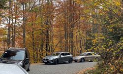 Yedigöller’i 2 ayda 180 bin kişi ziyaret etti