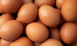 Yumurta krizinde 'kırmızı alarm': Üretim 11 aydır düşüşte, fiyatlar kanatlanıp uçtu