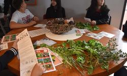 İzmirli liseliler unutulan ot kültürünü UNESCO’ya taşıyor
