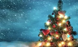 Yeni Yıl sahnelerinden en çok para kazanacak ünlüler!