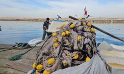 Karadeniz'de bu sezon ağlar boş kaldı