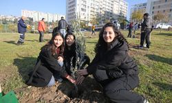 Karşıyaka’nın yeni yaşam alanı zeytinle dolacak: İlk fidanlar toprakla buluştu