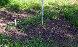 Kuraklıkla savaşın en etkili formülü toprağın hafızasında saklı