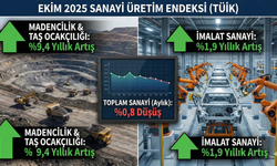 Sanayi üretimi ekimde yıllık bazda arttı, aylık bazda frene bastı