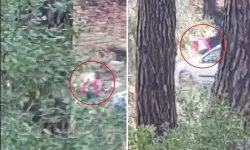 Ormanlık alanda kadını darbeden şüpheli yakalandı