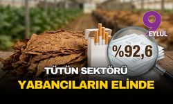 Tütün sektörü yabancıların elinde