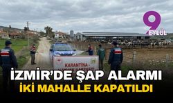 İzmir'de şap alarmı: İki ilçede hayvan hareketleri tamamen durduruldu