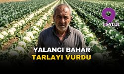 Yalancı bahar tarlayı vurdu: Torbalı'da üretici 'bolluk' çıkmazında