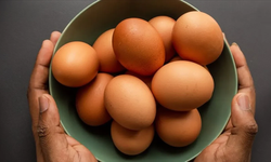 Buzdolabına koymadan önce yumurtaları yıkayanlar dikkat