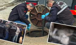 Kan donduran olay! Kanalizasyondan bebek cesedi çıktı!