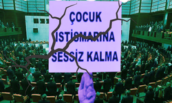 TBMM'de istismar skandalı: Verilen cezalar açıklandı