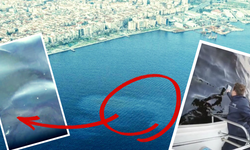 Körfez’de kaçak deşarj: Tersane bölgesinde mazot ve yağ kirliliği