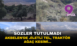 Sözler tutulmadı: Akbelen’de jiletli tel, traktör ve ağaç kesimi