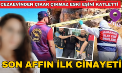 Cezaevinden çıkan cani hemen elini kana buladı! Diyarbakır'da korkunç kadın cinayeti