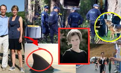 En son köpek balığının ağzında gördüler: Sporcunun acı vefatı!