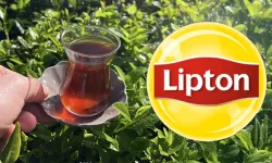 Lipton, Türkiye’de 39 yıllık üretim defterini kapattı